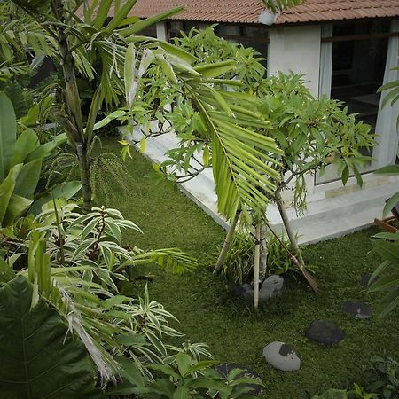 Dugul Ubud Cameră foto
