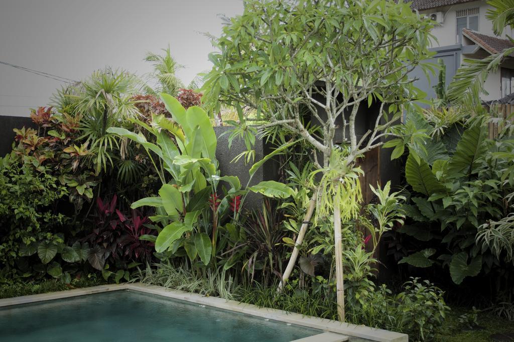 Dugul Ubud Cameră foto